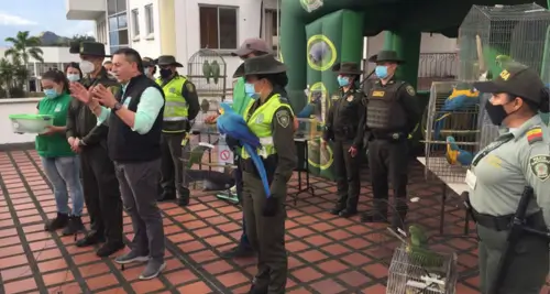 denuncias maltrato animal neiva